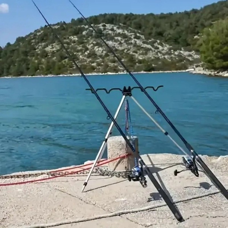 1 SET Fishing Telescopic Posit - đánh giá và giá Fishing Rod Telescopic